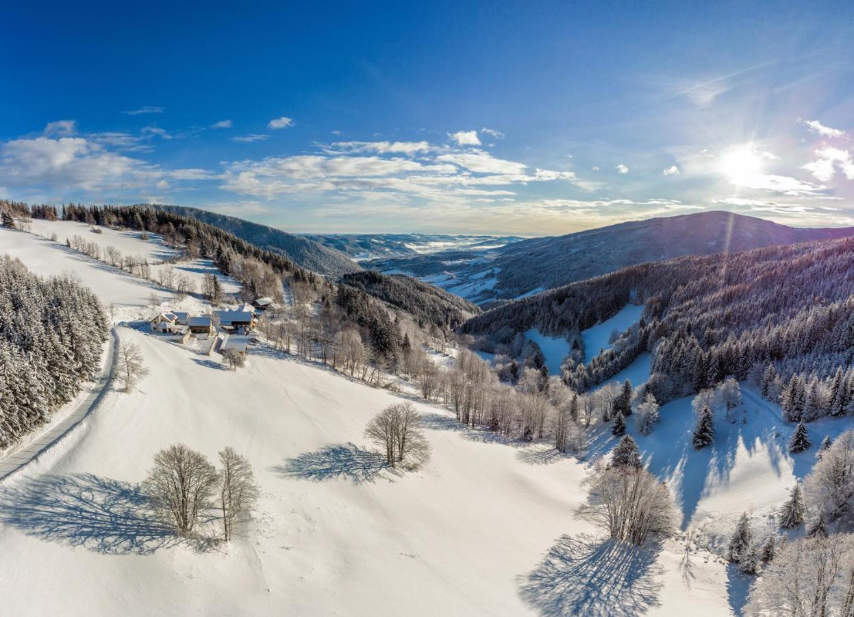 Almbauer Morgenbesser Trattenbach  Εξωτερικό φωτογραφία