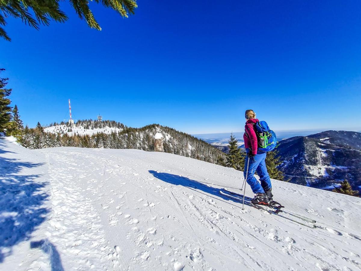 Almbauer Morgenbesser Trattenbach  Εξωτερικό φωτογραφία
