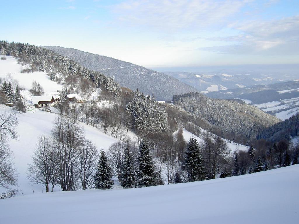 Almbauer Morgenbesser Trattenbach  Εξωτερικό φωτογραφία